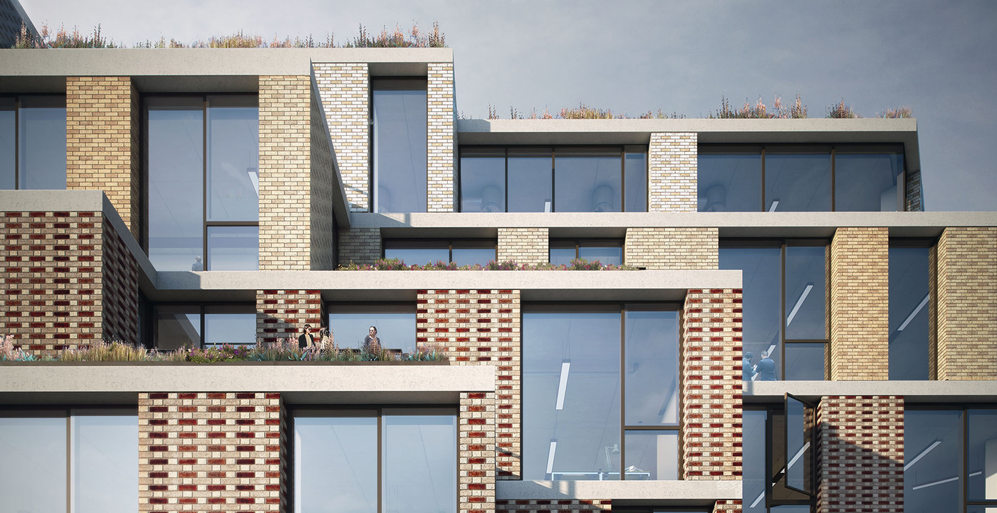 Rear terraces - The Ray Farringdon