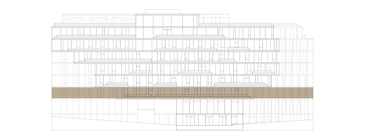 Level One - The Ray Farringdon