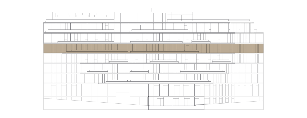 Level Four - The Ray Farringdon