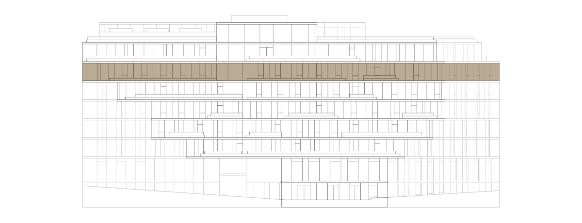 Level Five - The Ray Farringdon